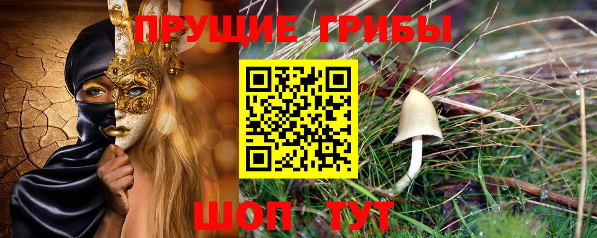 Галлюциногенные грибы Psilocybe Шали