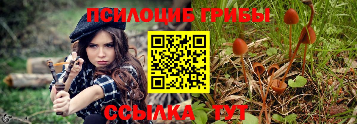 Шали  Псилоцибиновые грибы MAGIC MUSHROOMS  Вход с VPN  Галлюциногенные грибы Cubensis 